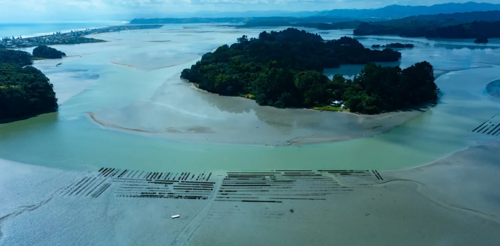 Aerial view of a coastal landscape with a large, forested island surrounded by tidal waters and sandbars. Visible in the foreground are parallel rows of aquaculture plots. Mountains and the sea extend into the background under a blue sky, showcasing one of the many attractions near Picton.