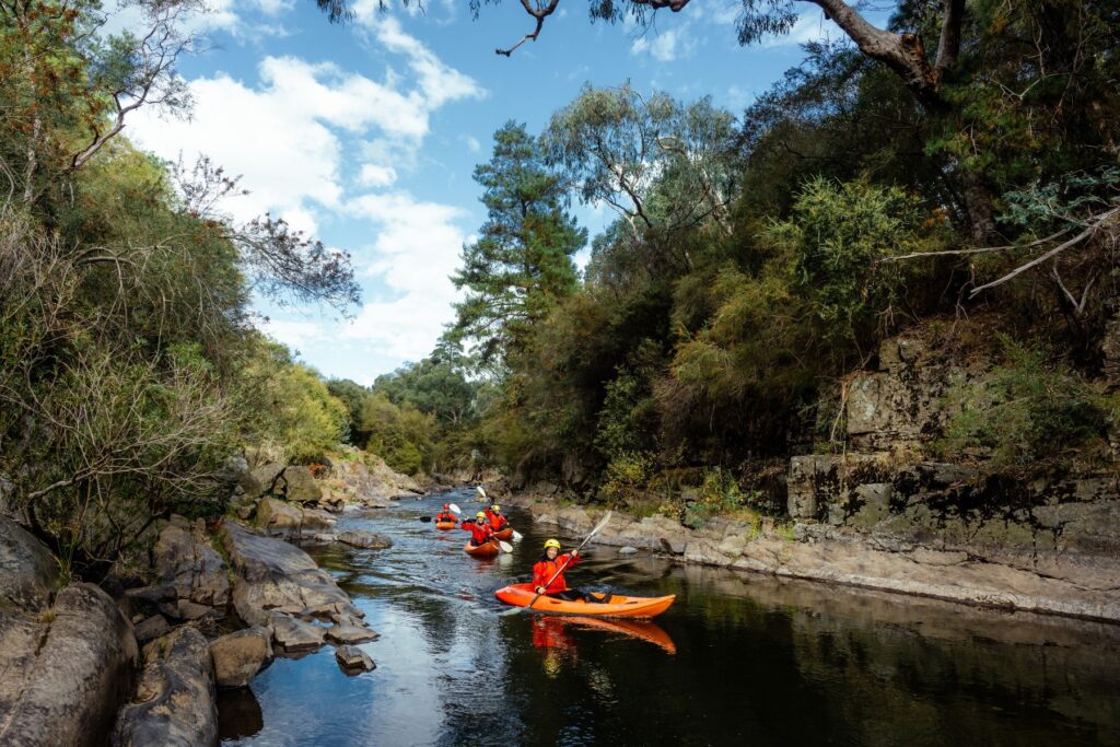 A group of kayakers in red jackets paddle through a narrow, tree-lined Ovens River in Bright.