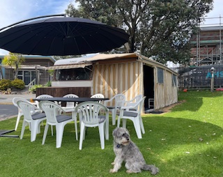 A dog sits on a lawn in front of a rustic shed. There’s a table with several white plastic chairs under a large black umbrella. Trees and a building under construction can be seen in the background.