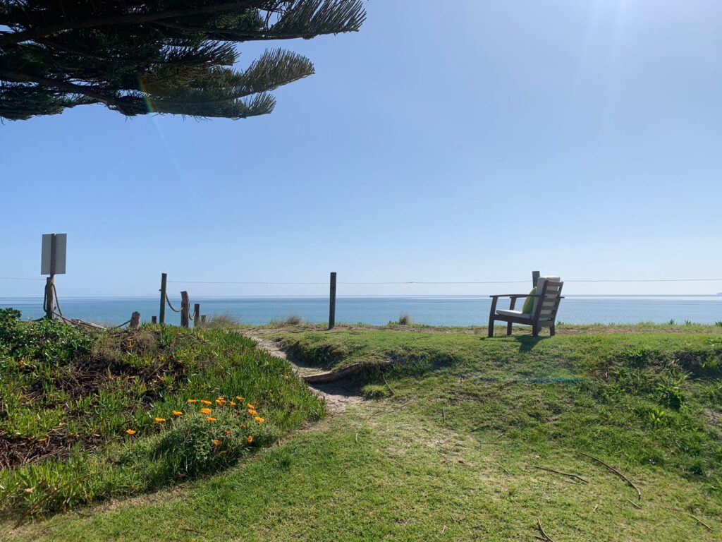 A scenic view of a grassy cliff overlooking the calm ocean. A solitary wooden bench sits facing the water, surrounded by greenery and a few small orange flowers. The sky is clear and bright, with a tree partially visible on the left.