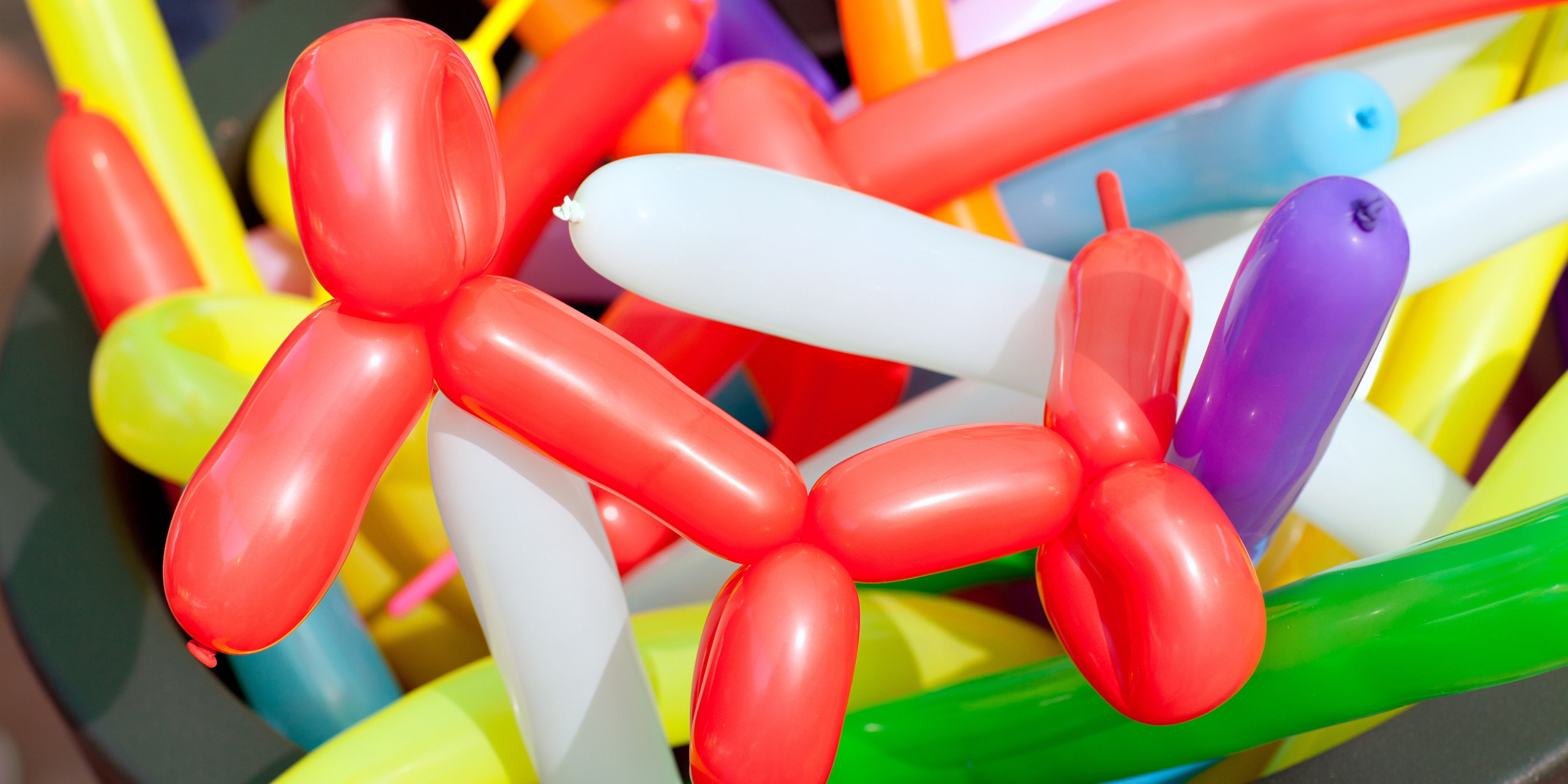 A colorful assortment of twisted balloons, including a red balloon dog and various other shaped balloons in colors like yellow, purple, and white, creating a lively and cheerful scene.