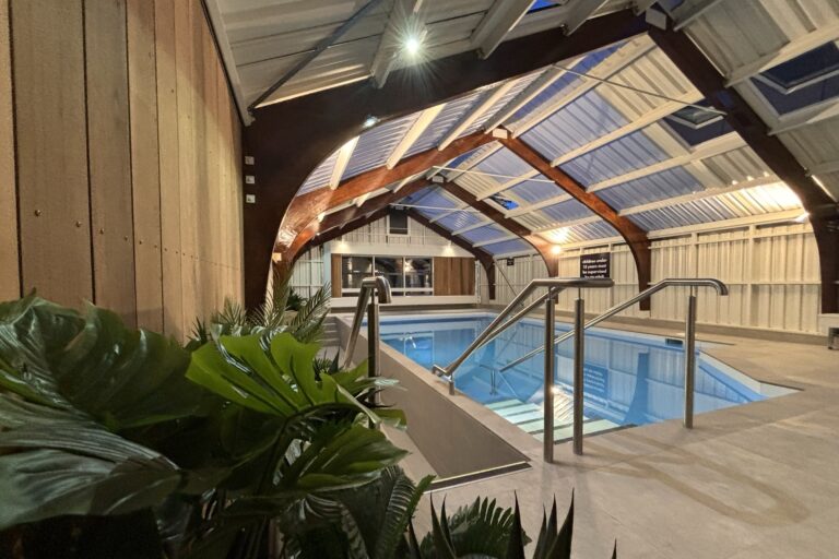 Indoor pool area with modern wooden and metal paneling. The pool is illuminated by overhead lights, with metal railings leading into the water. Large windows and skylights show a dark sky. Green plants in the foreground add a natural touch.