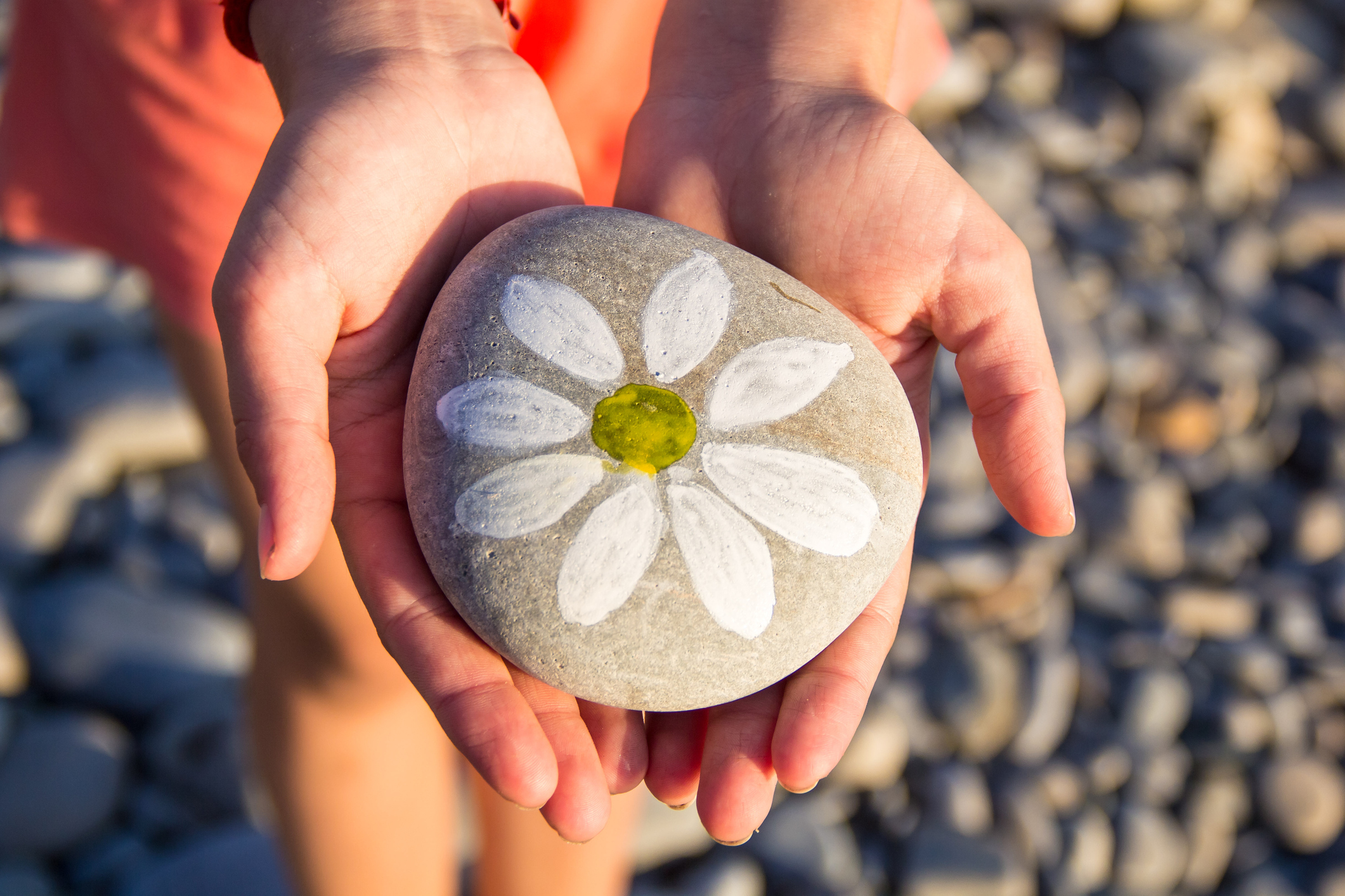 Hands holding a smooth, gray stone with a painted white daisy and a yellow center. The background is composed of a pebble-covered surface.